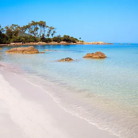 Terrasse Rue Pietonne *