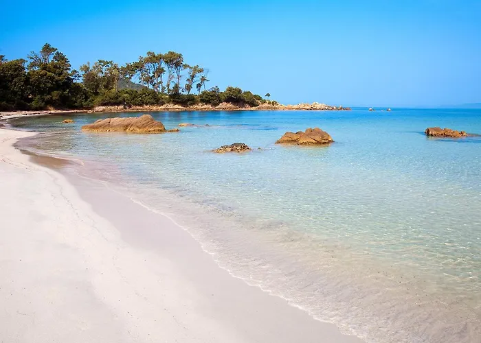 Terrasse Rue Pietonne *