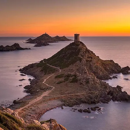 Terrasse Rue Pietonne Ajaccio (Corsica)